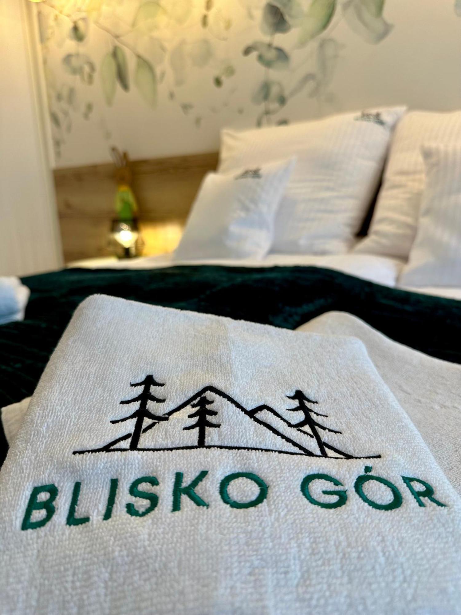 Blisko Gor Szyndzielnia Lägenhet Bielsko-Biała Exteriör bild